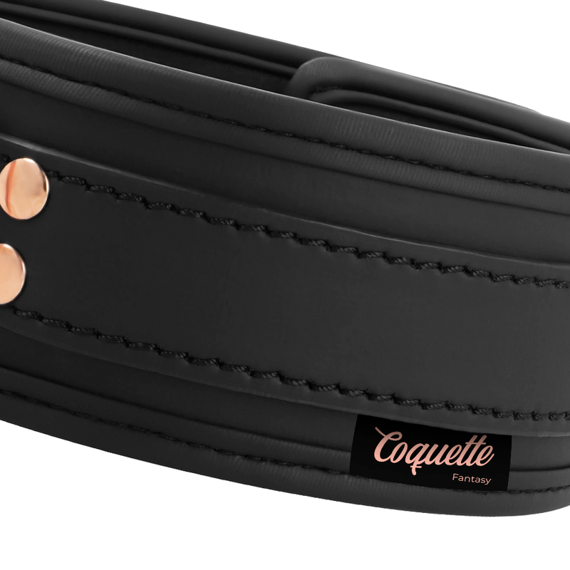COQUETTE CHIC DESIRE - COLLAR FANTASÍA DE CUERO VEGANO CON FORRO Y ASA DE NEOPRENO