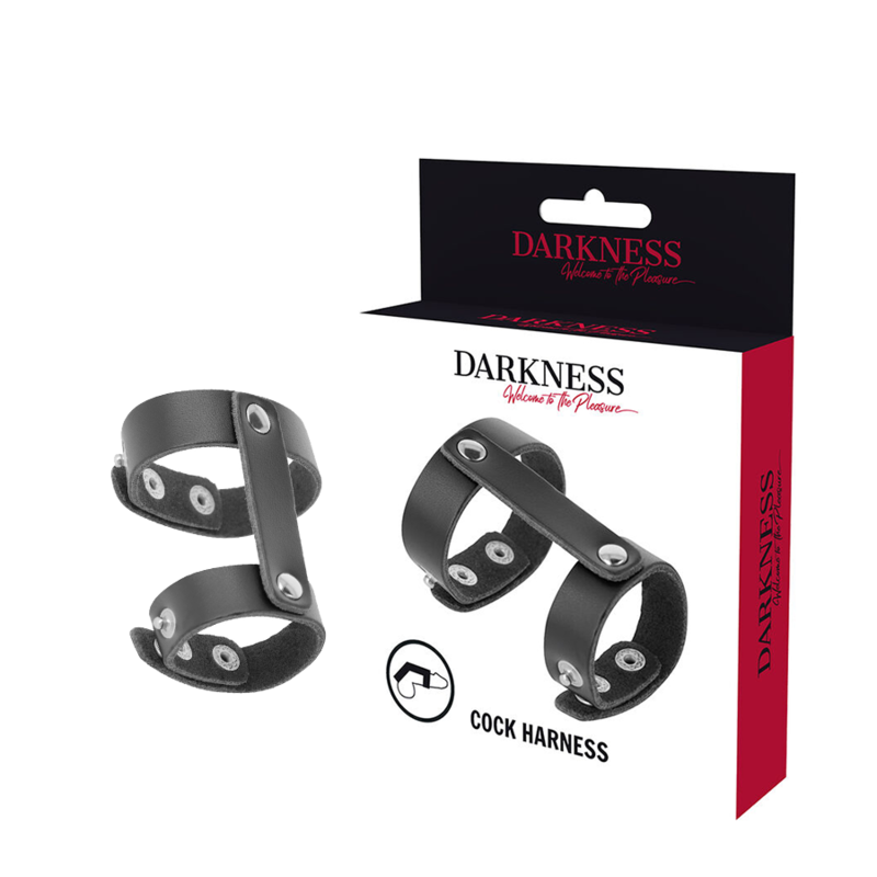 DARKNESS - ADJUSTABLE LEATHER COCK AND TESTICLE RING