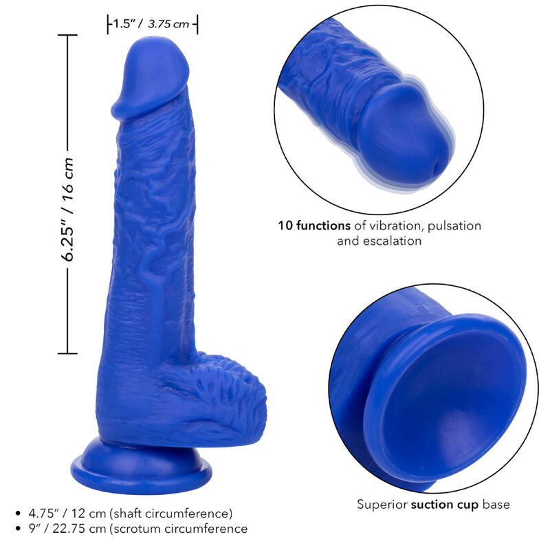 CALEXOTICS - DILDO VIBRADOR REALISTA AZUL ADMIRAL SAILOR