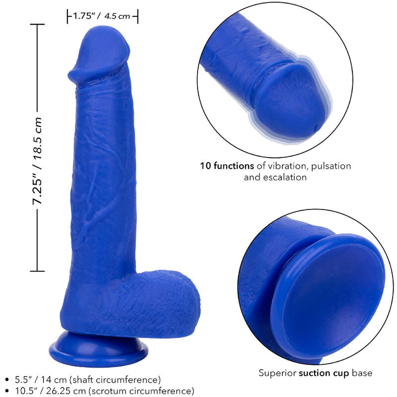 CALEXOTICS - DILDO VIBRADOR REALISTA AZUL ADMIRAL CAPTAIN