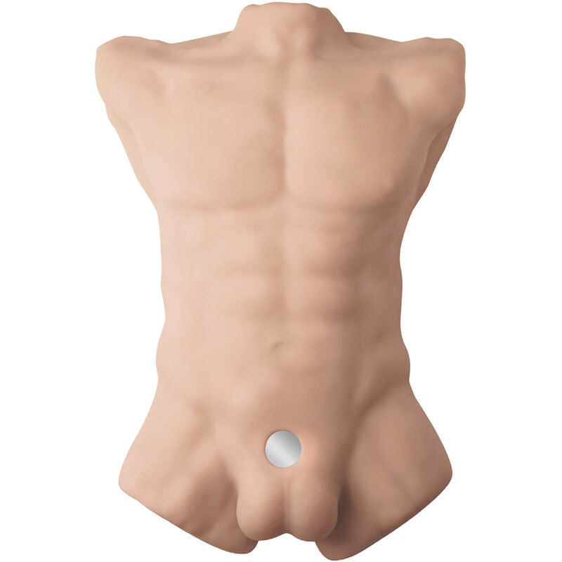 SILEXD - TORSO MASCULINO REALISTA APOLLO L