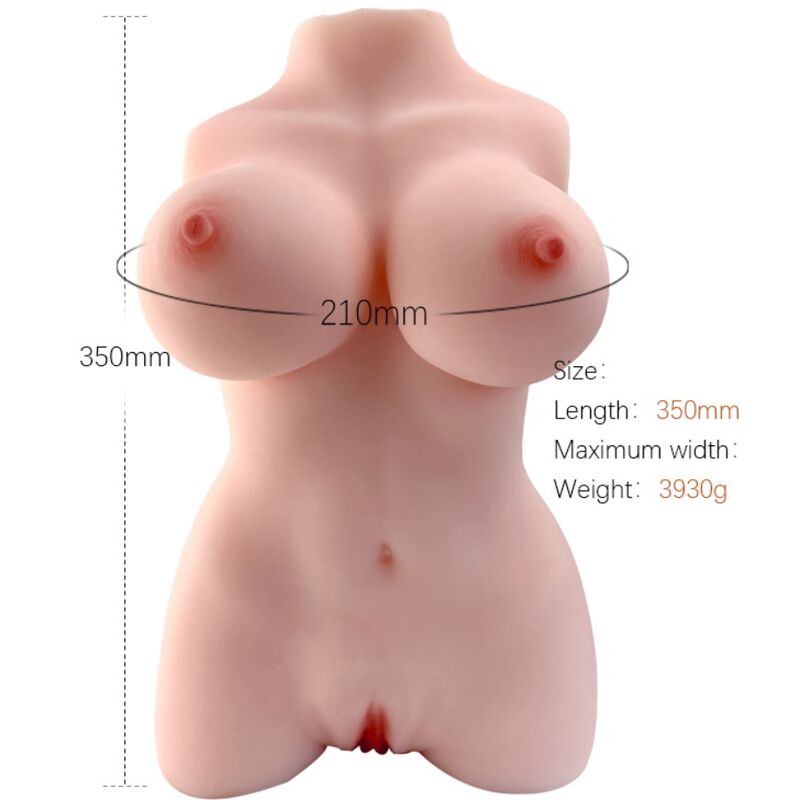 ARMONÍA - MODELO DE TORSO FEMENINO REALISTA 3