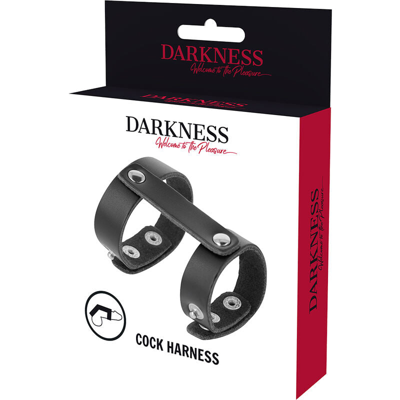 DARKNESS - ADJUSTABLE LEATHER COCK AND TESTICLE RING